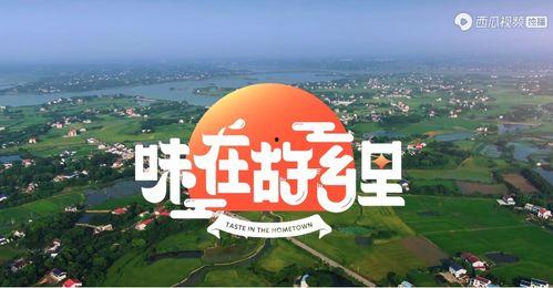 味在故乡里,味在故乡里的温馨回忆