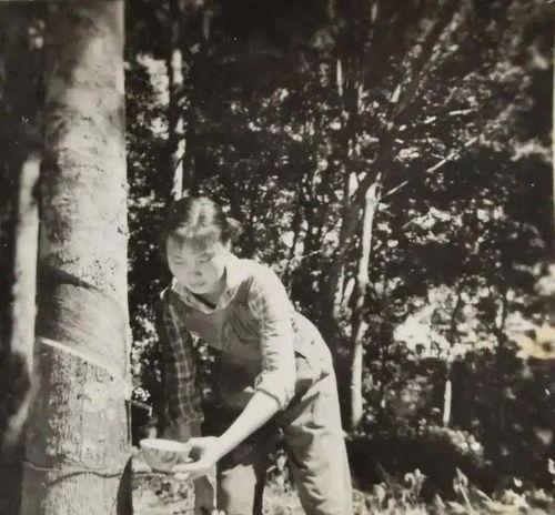 知青年代，我有一个暴击系统