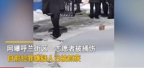 穿到家属院，我改写炮灰人,炮灰人生的华丽转身